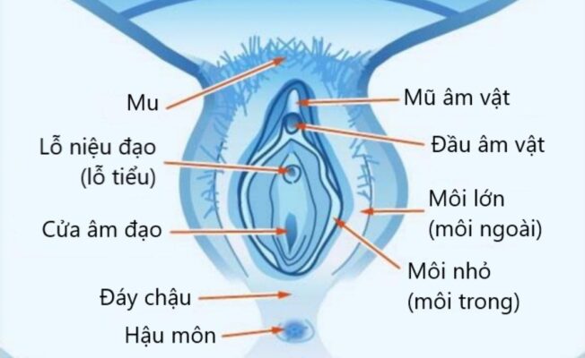 Bi Quuyet Khac Phuc Moi Be Bi Tham Den Tai Nha
