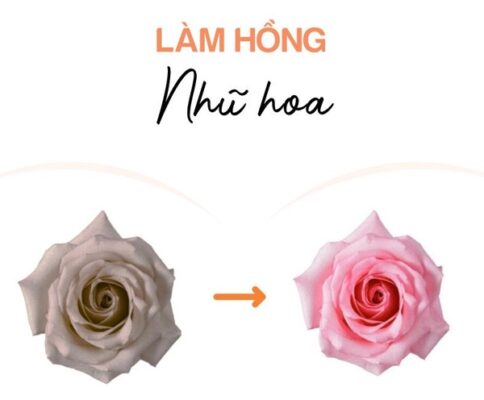 Lam Hong Nhu Hoa