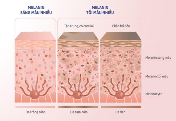 Kem Lam Hong Nhu Hoa Dermapink Co Thuc Su Hieu Qua